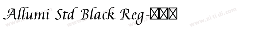 Allumi Std Black Reg字体转换